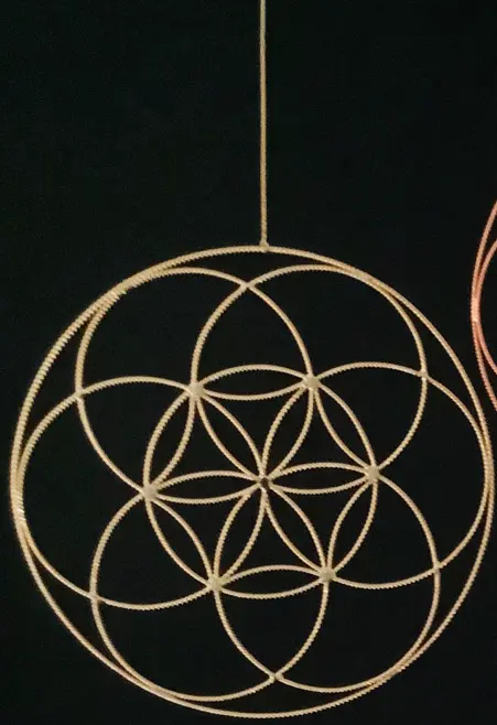 Germe de vie 14 Pouces