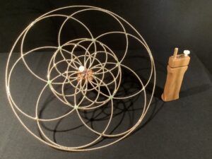 Fleur de vie évolutive