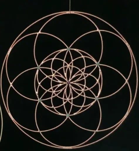 Fleur de vie évolutive